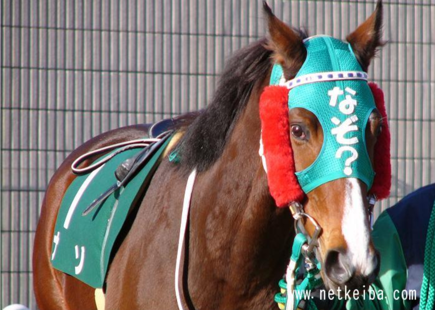 2月 06榎本あつしのblog 人事制度の学校 評価をしない評価制度 一枚評価制度とaba 応用行動分析学 榎本あつしのblog 人事制度の学校 評価をしない評価制度 一枚評価制度とaba 応用行動分析学